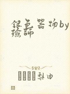 银色器物by入殓师封面