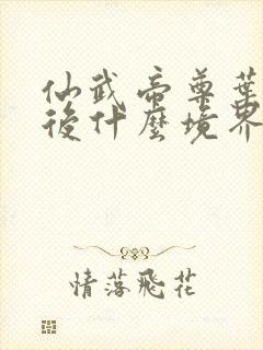 仙武帝尊叶辰最后什么境界