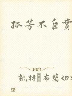 孤芳不自赏小说