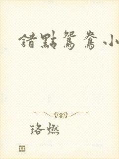 错点鸳鸯小说封面