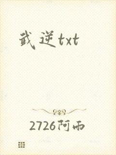 武逆txt封面