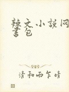 辣文小说网第二书包封面