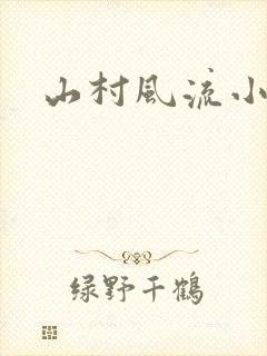 山村风流小说