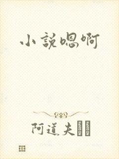 小说嗯啊封面