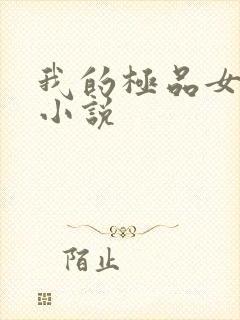 我的极品女老师小说