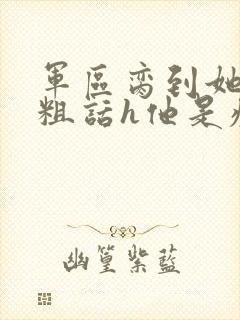 军区脔到她哭h粗话h他是疯批