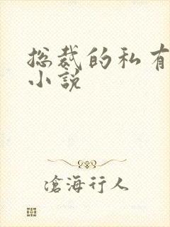 总裁的私有宝贝小说封面