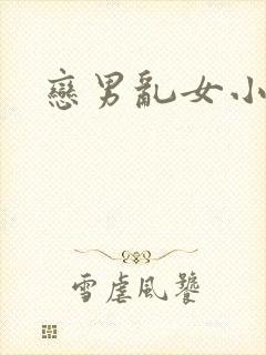 恋男乱女小说