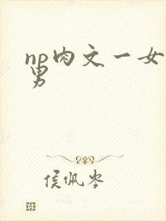 np肉文一女多男