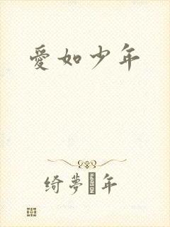 爱如少年封面