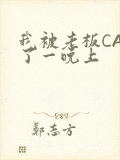 我被老板CAO了一晚上