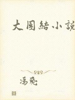 大团结小说阅读