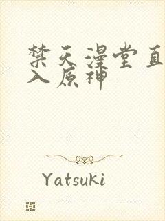 禁天漫堂直接进入原神