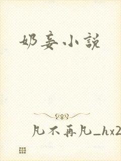 奶妾小说