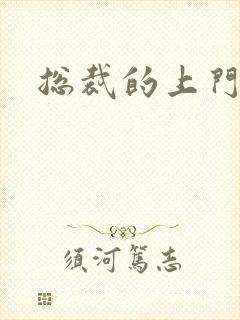 总裁的上门女婿