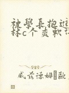 被学长抱进小树林c个爽软件封面