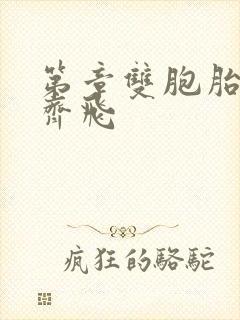 第章双胞胎姐妹齐飞