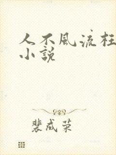 人不风流枉少年小说