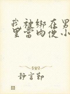 我被绑在男公厕里当肉便小说