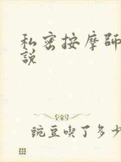 私密按摩师 小说封面