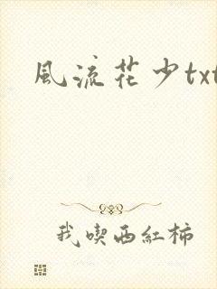 风流花少txt