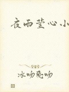 夜雨莹心小说