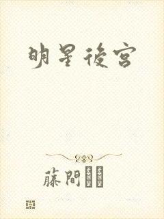 明星后宫