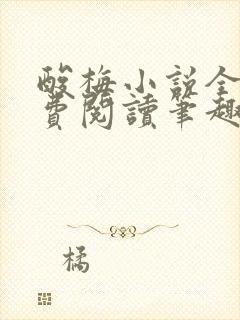 酸梅小说全文免费阅读笔趣阁