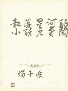 散落星河的记忆小说免费阅读全文封面