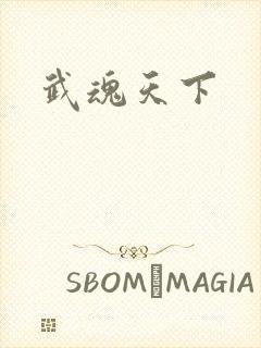 武魂天下
