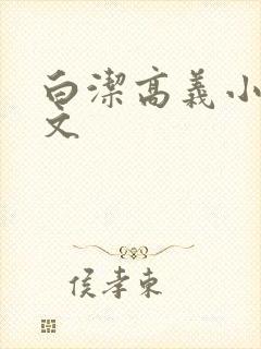 白洁高义小说全文封面