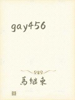 gay456封面