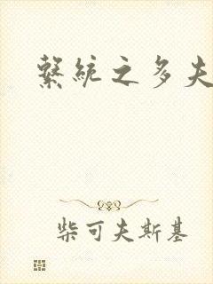 系统之多夫HP封面