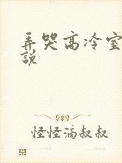 弄哭高冷室友小说