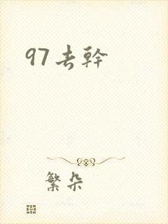 97去干封面