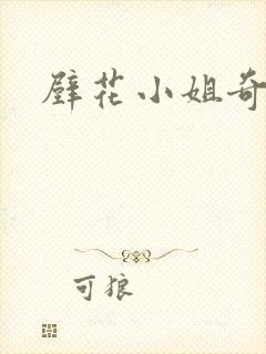 壁花小姐奇遇记封面