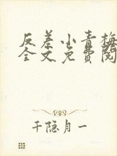 反差小青梅小说全文免费阅读封面