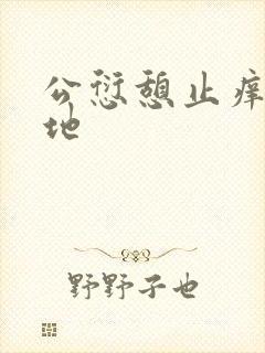 公愆憩止痒玉米地