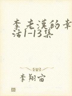 李老汉的幸福生活1-13集