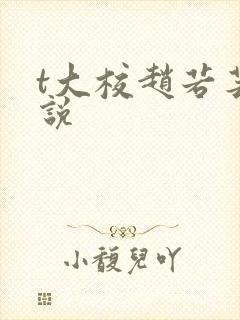 t大校赵若芸小说