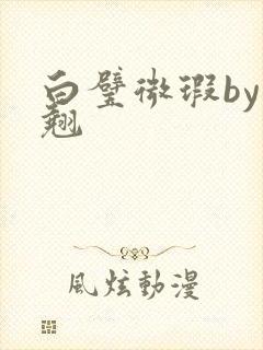 白璧微瑕by连翘