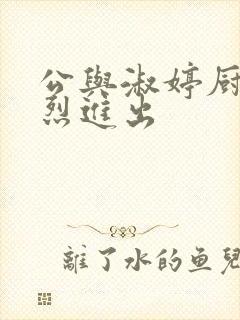 公与淑婷厨房猛烈进出