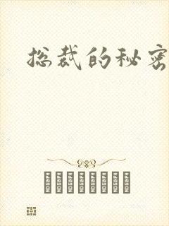 总裁的秘密情人封面