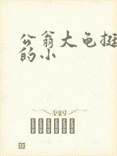 公翁大龟挺进我的小