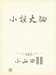 小说大胸封面