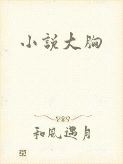小说大胸封面