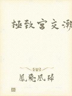 极致宫交潮喷h