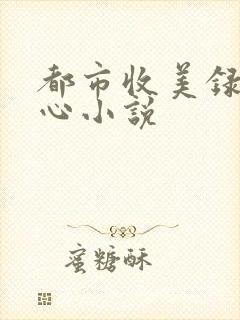 都市收美录宁素心小说