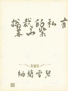 总裁的私有宝贝 暮山紫