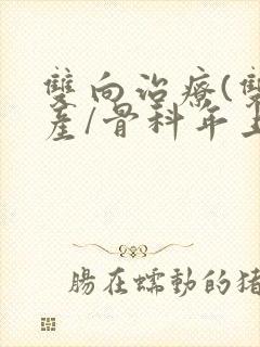 双向治疗(双/产/骨科年上)封面